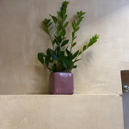 Casa Vera 4* Orvieto